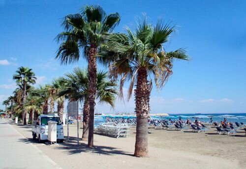 Ayia Napa, Cyprus - Beach - Cyprus car hire